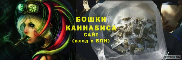 эйфоретик Белокуриха