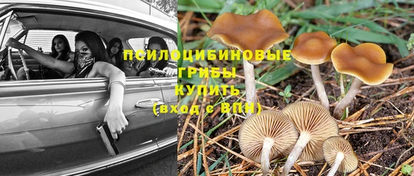 твердый Беломорск