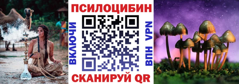 Псилоцибиновые грибы Psilocybe  цена   Бугульма 